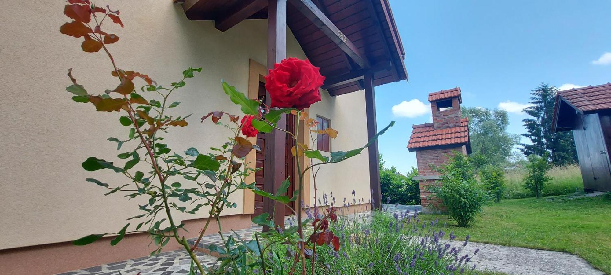 Holiday House And Apartments Vale Duga Resa Esterno foto